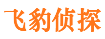 丰满侦探公司